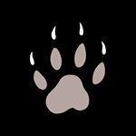 Mongoose Sports